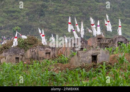 Chaque année, les ancêtres en visite sont des tombes portant des cadeaux et des feux d'éclairage dans les champs de maïs, dans la province de Ha Giang, au nord du Vietnam Banque D'Images