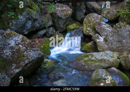 Série de belles vues sur les cascades de Myra Falls avec des pierres de mousse en Basse-Autriche (Myrafälle Wasserfälle, Niederösterreich), Autriche. Banque D'Images