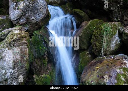 Série de belles vues sur les cascades de Myra Falls avec des pierres de mousse en Basse-Autriche (Myrafälle Wasserfälle, Niederösterreich), Autriche. Banque D'Images