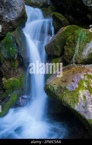 Série de belles vues sur les cascades de Myra Falls avec des pierres de mousse en Basse-Autriche (Myrafälle Wasserfälle, Niederösterreich), Autriche. Banque D'Images