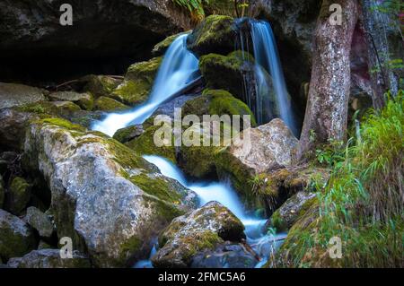 Série de belles vues sur les cascades de Myra Falls avec des pierres de mousse en Basse-Autriche (Myrafälle Wasserfälle, Niederösterreich), Autriche. Banque D'Images