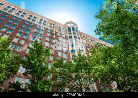 Ciel bleu clair, feuillage vert et nuages reflétés dans les fenêtres de Charlotte North Carolina, États-Unis Banque D'Images