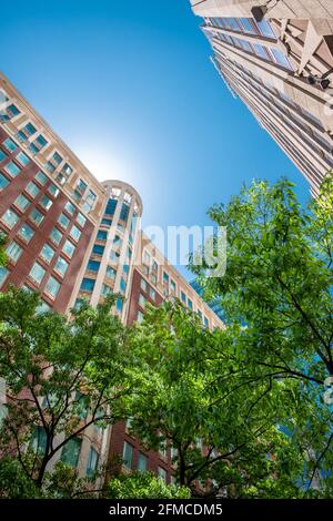 Ciel bleu clair, feuillage vert et nuages reflétés dans les fenêtres de Charlotte North Carolina, États-Unis Banque D'Images