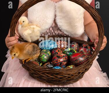 Mains d'une petite fille tenant un panier avec un poussin et décoré des oeufs de Pâques. Banque D'Images