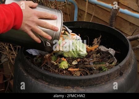 Vider le contenu d'un bac à compost de cuisine dans un bac à compost extérieur, pour produire du compost de jardin écologique et réduire les déchets. Banque D'Images