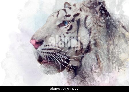 Illustration numérique tigre blanc sur fond blanc Banque D'Images