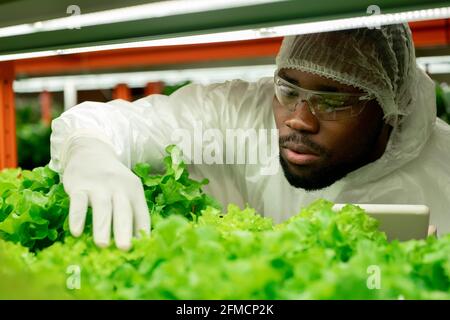 Jeune afro-américain sérieux avec une barbe portant des lunettes de sécurité et un capuchon utilisation de comprimés et examen de plantes en serre de pépinière Banque D'Images