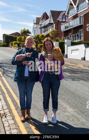 Deux femmes tenant des chiens, l'une Pomeranienne et l'autre Chihuahua à Bournemouth, Dorset UK, lors d'une chaude journée ensoleillée en mai Banque D'Images