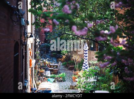 Mews à Brooklyn. Rangées ou cour d'immeubles d'appartements avec pelouse et arbres au milieu Banque D'Images