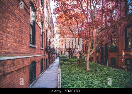 Mews à Brooklyn. Rangées ou cour d'immeubles d'appartements avec pelouse et arbres au milieu Banque D'Images