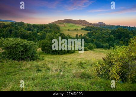 campagne de montagne de carpates au lever du soleil. magnifique paysage rural en été avec collines boisées et pâturages herbeux dans la lumière du matin. pois élevés Banque D'Images