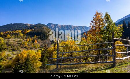 Une photo panoramique d'Artvin qui capture sa belle nature. Artvin avec ses arbres colorés sur un chemin plein d'herbe verte crée un incroyable Banque D'Images