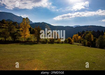 Une photo panoramique d'Artvin qui capture sa belle nature. Artvin avec ses arbres colorés sur un chemin plein d'herbe verte crée un incroyable Banque D'Images