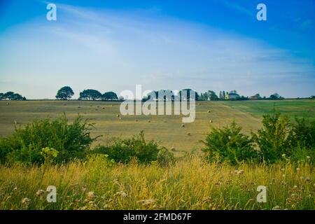 Le château d'Hadleigh est une fortification en ruines dans le comté anglais d'Essex, surplombant l'estuaire de la Tamise depuis le sud de la ville d'Hadleigh, en Angleterre Banque D'Images
