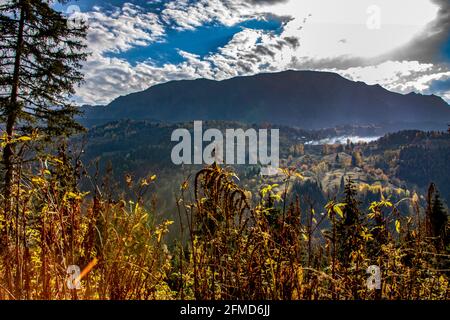 Une photo panoramique d'Artvin qui capture sa belle nature. Artvin avec ses arbres colorés sur un chemin plein d'herbe verte crée un incroyable Banque D'Images