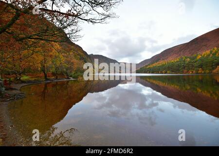 Paysage d'automne pittoresque à Glendalough Upper Lake dans le comté de Wicklow, Irlande. Banque D'Images