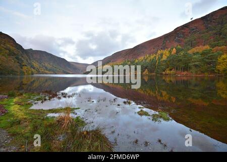 Paysage d'automne pittoresque à Glendalough Upper Lake dans le comté de Wicklow, Irlande. Banque D'Images