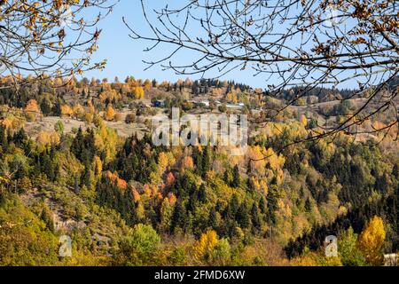 Une photo panoramique d'Artvin qui capture sa belle nature. Artvin avec ses arbres colorés sur un chemin plein d'herbe verte crée un incroyable Banque D'Images