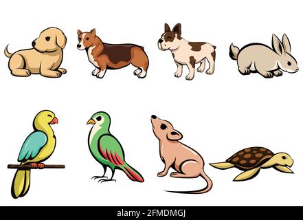 Illustration vectorielle représentant huit animaux de compagnie différents avec un chiot chien lapin perroquet oiseau souris et tortue Illustration de Vecteur