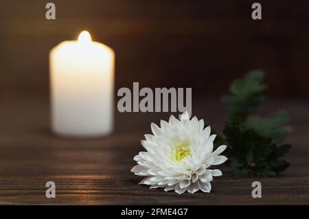 Carte de condoléances avec fleur de chrysanthème blanc et bougie Banque D'Images