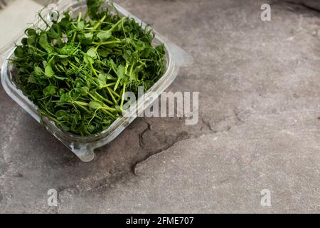 jeunes pousses de petits pois frais dans un récipient sur une table grise. nourriture végétarienne Banque D'Images