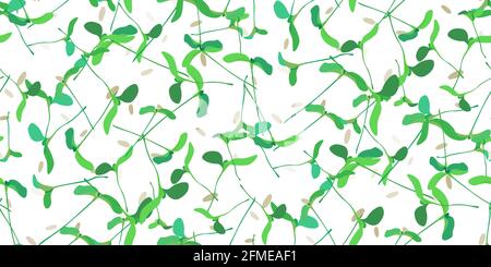 Motif sans couture microgreen. Jeunes feuilles plantules, graines isolées sur blanc. Pousses brutes, micro-verts, concept de saine alimentation. Feuillage nature plante f Illustration de Vecteur