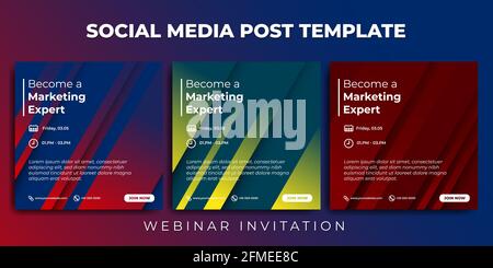 Jeu de modèles de post de médias sociaux avec design de couleur liquide. Bannière d'expert marketing. Bon modèle pour la conception de publicité numérique. Illustration de Vecteur