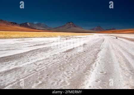 Laguna Lejía est un lac salé situé dans l'Altiplano de la région d'Antofagasta au nord du Chili. Banque D'Images