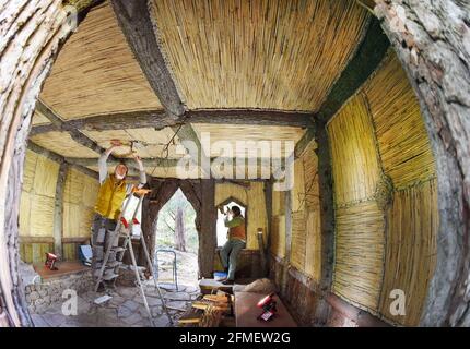 08 mai 2021, Saxe-Anhalt, Wörlitz: Le restaurateur diplômé Kerstin Klein (l) et le sculpteur Katharina Günther appliquent les dernières parties de planches et de roseaux aux pièces manquantes dans la hutte d'écorce vieille de plus de 230 ans dans le parc Wörlitz. La petite maison en bois, également connue sous le nom de Wurzelhütte, a été largement restaurée au cours des deux dernières années. Le Borkenhäuschen a servi le Prince Franz comme une salle de bain privée pour changer de vêtements avant de nager dans le lac Wörlitz et est revêtu à l'extérieur avec des troncs de chêne gnarled, des dalles et de l'écorce. À l'intérieur, coffres de demi-troncs d'orme et avec tapis de roseau tissés à la main et tresse de Rush Banque D'Images