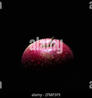 gros plan d'une pomme rouge, lumière du dessus, fond noir, gouttes d'eau sur la pomme Banque D'Images
