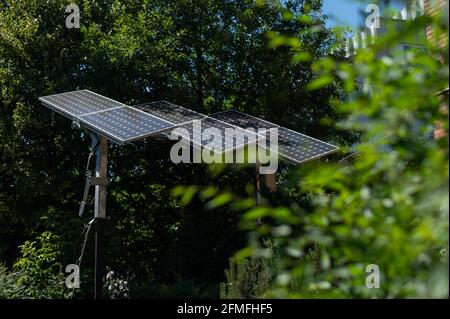 Panneaux solaires dans le feuillage vert des arbres. Banque D'Images