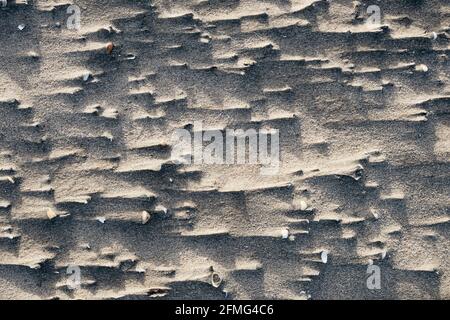 Sculptures de sable naturel sur la plage. Banque D'Images