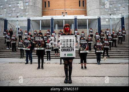 Des activistes des droits des animaux portant des pancartes avec des scènes de corrida lors d'une manifestation contre la corrida alors que la saison des corridas commence à Madrid la semaine prochaine pour la fête de San Isidro. Le groupe de défense des droits des animaux Anima Naturalis s'est réuni pour protester contre les arènes de Vista Alegre à Madrid en demandant l'abolition des combats de taureaux, en criant des slogans contre la cruauté envers les animaux et la torture contre les animaux. La saison des combats de taureaux débutera la semaine prochaine avec une capacité maximale de 40 % et un maximum de 6,000 spectateurs en raison des mesures de santé visant à stopper la propagation du coronavirus. Banque D'Images