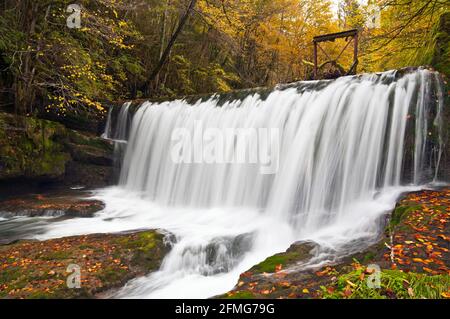 Rivière Abime avec chute d'eau près de la ville de Saint-Claude, Parc naturel du Haut-Jura, Jura (39), région Bourgogne-Franche-Comté, France. Banque D'Images