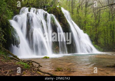 Cascade des Tufs près des planches-pres-Arbois, Jura (39), Bourgogne-Franche-Comté, France Banque D'Images