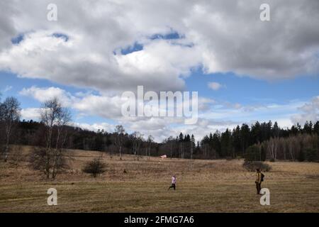 TIS Marshland, district de Louny, République tchèque. Banque D'Images