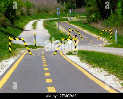 piste cyclable. route asphaltée pavée. perspective décroissante. scène nature printanière. forêt verte le long du côté. séparateur peint en pointillés jaunes. deux voies. Banque D'Images