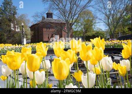 La Old Colony Historical Society de Taunton, Massachusetts, telle qu'elle a été vue au-dessus de divers monuments commémoratifs de guerre Banque D'Images