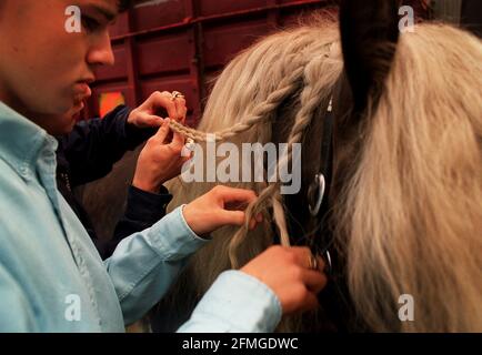 Rangez-vous sur le Wold Horse FairPLAYITING UNE MANNE DE CHEVAUX AU STOW ON THE WOLD FAIR. Banque D'Images