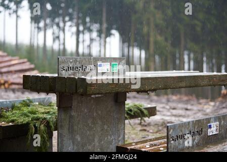 Gros plan de la table élaborée (lettrage de Sauerland dans une épaisse plaque de métal ) au refuge 'Balver Wald', qui est situé sur le bien connu Banque D'Images