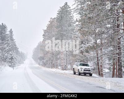 Fort Collins, Colorado, États-Unis - 19 avril 2021 : Toyota 4Runner SUV (modèle 2016 Trail) dans une tempête de neige au printemps dans le canyon de la rivière poudre, au Colorado Banque D'Images