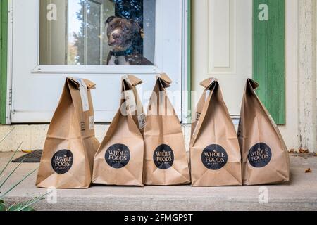 Fort Collins, Colorado, États-Unis - 13 octobre 2020 : sacs bruns avec des provisions et des produits frais livrés à la maison de l'ensemble du marché alimentaire avec un pitbul amical Banque D'Images