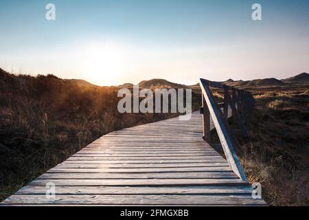 Vue à angle bas de la promenade en bois avec garde-corps menant à travers le paysage. Coucher de soleil coloré dans la nature. Banque D'Images