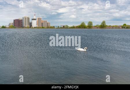 Blackhorse Mills vu de l'autre côté du réservoir à Walthamstow Wetlands, Hackney, Londres, angleterre Banque D'Images