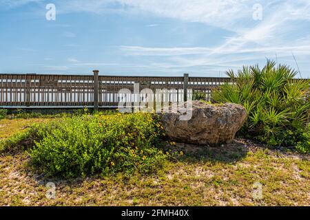 Réserve de rivière à mer à Marineland, plage du nord de la Floride à St Augustine avec fleurs jaunes et promenade en bois le jour ensoleillé Banque D'Images