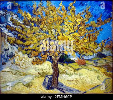 Œuvre d'art Vincent van Gogh intitulée le mûrier. Banque D'Images