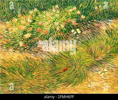 Œuvre d'art Vincent van Gogh intitulée Grass and Butterflies. Banque D'Images