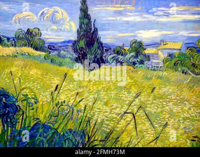 Œuvre d'art Vincent van Gogh intitulée maïs vert - Paysage avec maïs vert, champ de blé vert avec cyprès. Banque D'Images