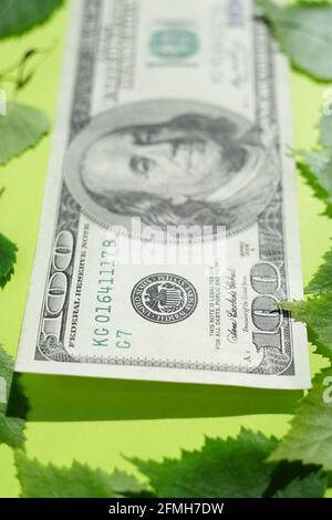Facture de cent dollars et feuilles vertes sur la table ensoleillée. Banque D'Images