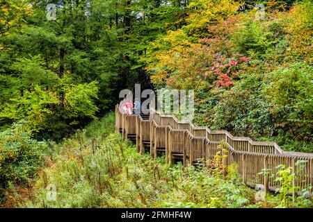 Davis, États-Unis - 5 octobre 2020 : parc national de Blackwater Falls avec sentier vers la célèbre cascade en Virginie occidentale pendant la saison d'automne avec des gens de famille Banque D'Images